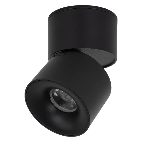 Ledowa lampka sufitowa Spark 18163 LED 10W 3000-6000K czarny