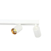Lampa sufitowa reflektory Perugia LP-0703/4C WH Light Prestige LED 50W 3000-6000K biała