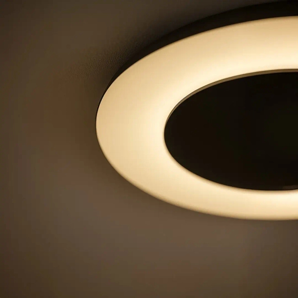 Nowoczesna lampa sufitowa Piattino ML1811 LED 30W 3000-6000K czarny