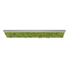 Dekoracyjny plafon GREEN KNUT 15623-66 LED 25W 3000K do jadalni zielony
