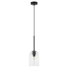 Loftowa wisząca lampa Elaris LP-8103/1P TR szklana przezroczysta