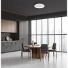Sufitowa lampa Raden CLN-3151-M-BK LED 50W 3000-6000K okrągła czarna