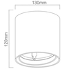 Downlight LAMPA sufitowa Neo Nero Mobile Orlicki Design metalowa OPRAWA okrągła spot tuba czarna