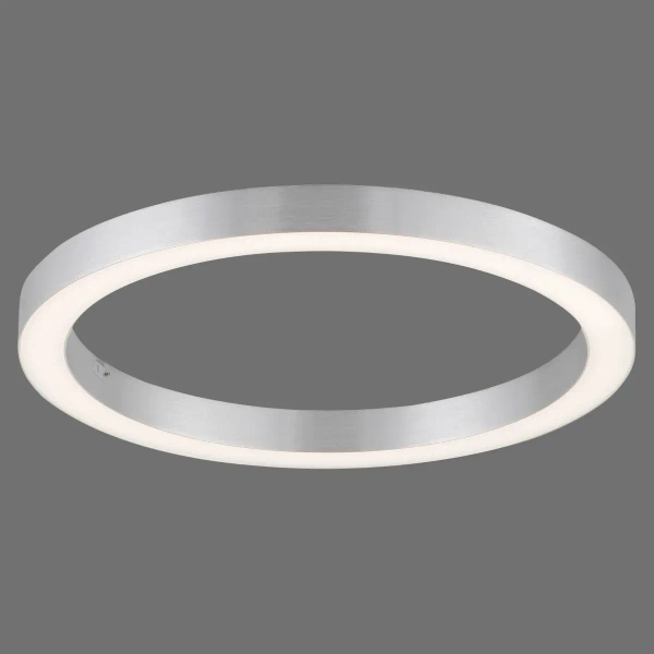 Lampa sufitowa sterowana pilotem PURE-LINES srebrna 6309-95 1xLED 30W 2700-5000K