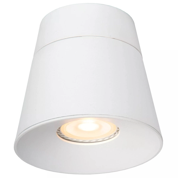 Biała lampa sufitowa Trigono kierunkowy downlight metalowy