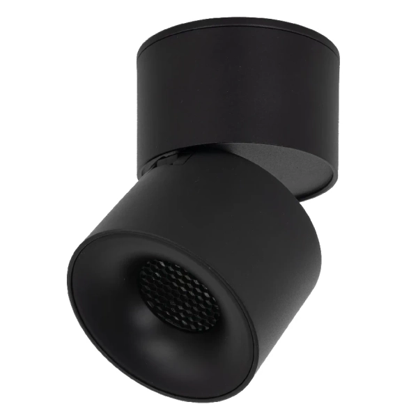 Ledowa lampka sufitowa Spark 18163 LED 10W 3000-6000K czarny