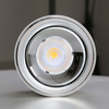 Lampa sufitowa Roller DLW10WW tuba LED 10W 3000K do przedpokoju biała