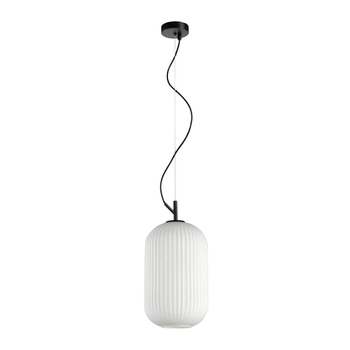 Zwisająca lampa owalna Rues PND-64536C-M-BL-OPA Italux biały czarny