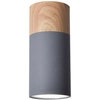 Skandynawska lampa sufitowa 2284279 okrągła plafon tuba metalowa szara