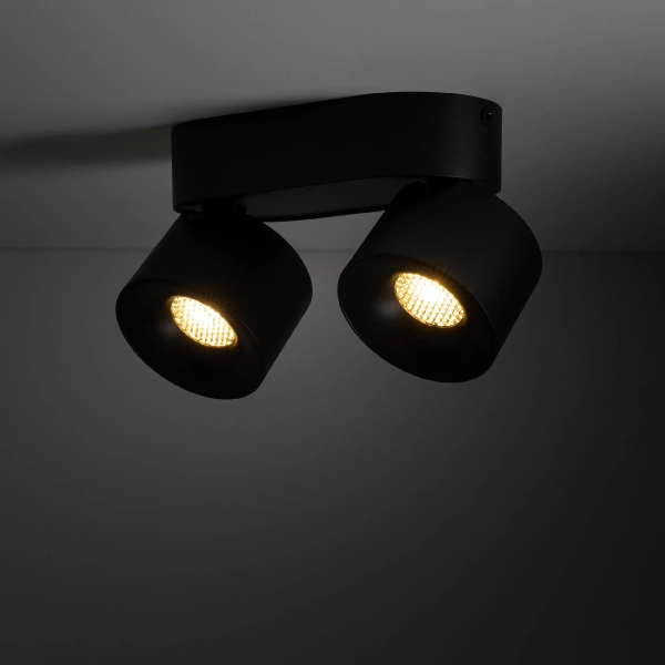 Ledowa lampa sufitowa SPARK DUO 18164 LED 20W 3000-6000K czarny