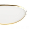 Ledowa lampa natynkowa 23213 LED 58W 3000K owalna złoty