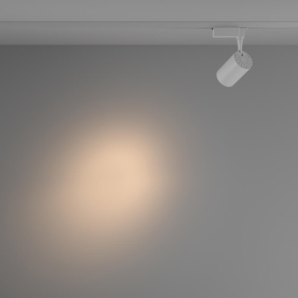 Sufitowa lampa 1-fazowa Vuoro TR003-1-10W3K-S-W LED 10W 3000K biała