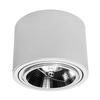 Lampa nasufitowa kuchenna 448 Domeno LED downlight okrąg biała