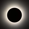 Dekoracyjna lampa ścienna Luna Sabia 10625 okrągłą koło beżowy