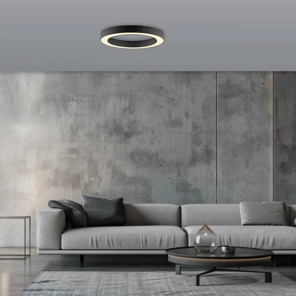 Owalna lampa sufitowa PURE LINES czarna 6310-13 1xLED 21W 2200-5500K na pilot CCT