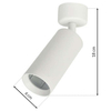 Spot LAMPA sufitowa MICA ML6087 Milagro metalowa OPRAWA tuba biała