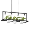 Wisząca lampa z doniczkami Planter P0536-04B-P7AB Zumaline czarny biały