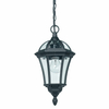 Lampa wisząca latarnia Drayton YG-3503 Endon IP44 przezroczysty czarny