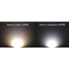 Okrągła lampa sufitowa Cleo 1307623600462 Temar LED 69W 4000K czarna