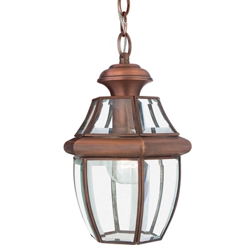 Lampa wisząca na łańcuchu Newbury QZ-NEWBURY8-M-AC Quoizel IP44 przezroczysta miedź