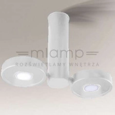 Spot LAMPA sufitowa NATORI IL 7280 Shilo regulowana OPRAWA metalowa LED 20W 3000K tuba biała