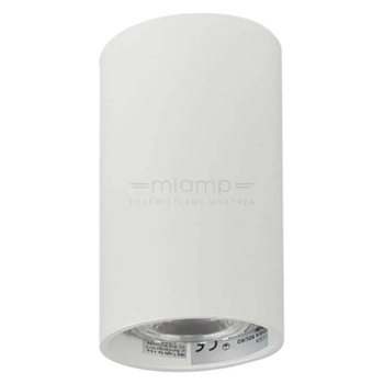 Spot LAMPA sufitowa DARIA ROUND 1W/W INQ okrągła OPRAWA natynkowa downlight tuba biała