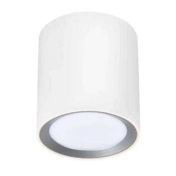 Lampa sufitowa tuba LANDON 2110670101 LED 6,5W 2700K IP44 biały