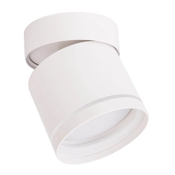 Przysufitowa lampa regulowana Kendal LP-6331/1SM R1 WH movable Light Prestige biała