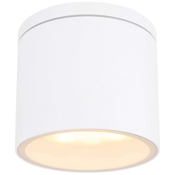 LAMPA sufitowa stropowa ALCALA 32063W Globo zewnętrzna OPRAWA tuba outdoor IP44 biała przezroczysta