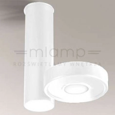 Spot LAMPA sufitowa NATORI IL 7279 Shilo regulowana OPRAWA metalowa LED 10W 3000K tuba biała