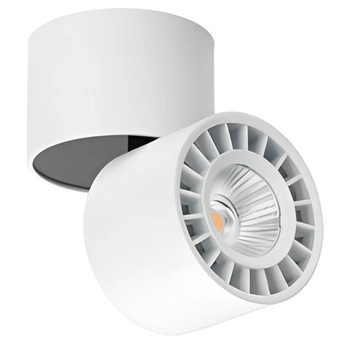 Regulowany downlight pokojowy Herios tuba z regulacją biała