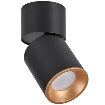 Kierunkowa lampa sufitowa Nixa do przedpokoju czarna złota