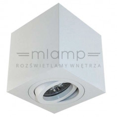 Spot LAMPA sufitowa Lago Bianco Orlicki Design regulowana OPRAWA metalowa kostka cube biała