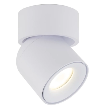 Spot sufitowa lampa punktowa Twist 10576 regulowana metalowa biały