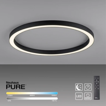 Owalna lampa sufitowa z pilotem PURE-LINES grafitowa 6306-13 1xLED 42W CCT