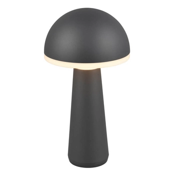 Zewnętrzna lampka stojąca Fungo R57716142 IP54 LED 2W 3000-5000K czarny