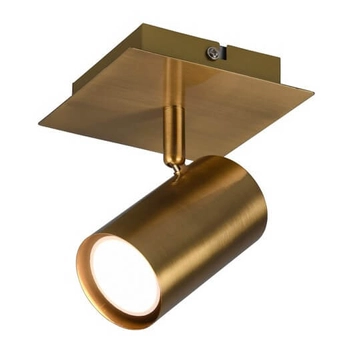 Sufitowa lampa reflektor VANTOS DL104802400 Trio tubka do holu mosiądz