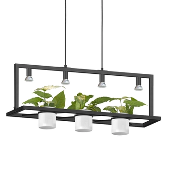 Wisząca lampa z doniczkami Planter P0536-04B-P7AB Zumaline czarny biały