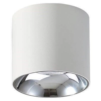 Spot LAMPA sufitowa VAIOLETT DL10W-NW Abigali metalowa OPRAWA okrągła LED 10W 4000K tuba biała