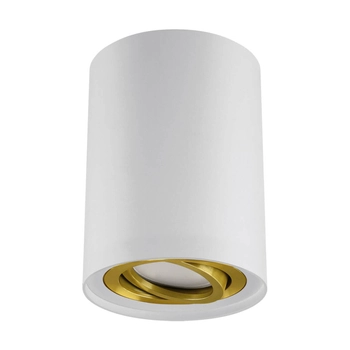 Lampa sufitowa Hary 04239 Ideus tubka punktowa downlight biała złota