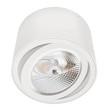 Natynkowa lampa sufitowa Tocha 1073 Brosline ruchoma spot biała