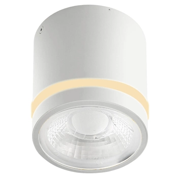 Łazienkowa lampa sufitowa VICI AZ6040 LED 12W 3000-6000K IP44 tuba biały