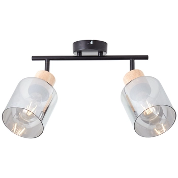 Sufitowa lampa Weald 99838/93 szklane klosze czarna przydymiona