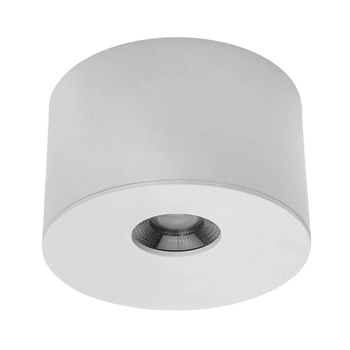 Natynkowa lampa sufitowa 1379 LED 10W 4000K IP44 biała