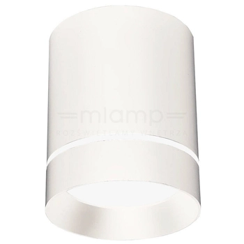 Spot LAMPA sufitowa 2282770 Candellux metalowa OPRAWA tuba downlight biały