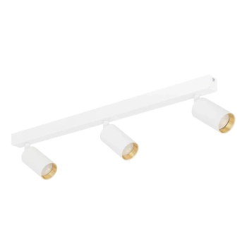 Lampa sufitowa regulowana Amis 10796 na podsufitce tubki biały